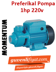 MOMENTUM PKM 80 1Hp 220V Preferikal Sürtme Fanlı Pompa