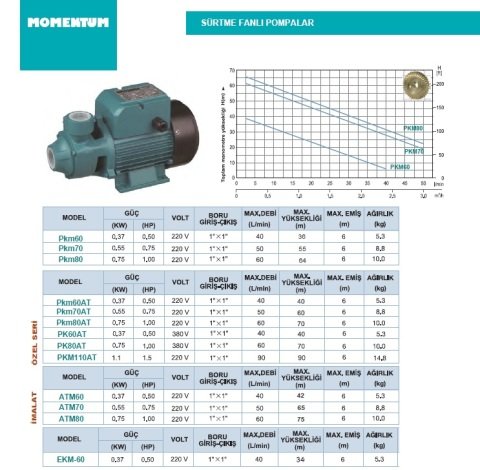 MOMENTUM PK 60AT 0.5Hp 380V Preferikal Sürtme Fanlı Pompa