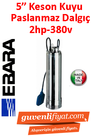 EBARA IDROGO 80/20 380V 2HP 5'' Paslanmaz Çelik Keson Kuyu Dalgıç Pompa