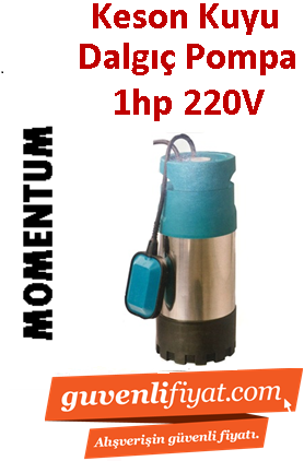 MOMENTUM PKS-900 1hp 220v Temiz Su Keson Kuyu Dalgıç Pompa ( Yüksek İrtifalı )