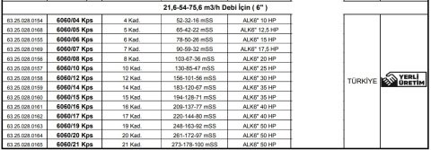 Alarko 6060/05 Kps  12.5Hp  6'' Paslanmaz Derin Kuyu Dalgıç Pompa (Motor+Pompa) ALK-KPS Serisi