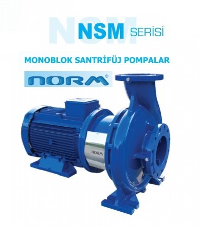 Norm NSM 50/250 37 kW 380V Tek Kademeli Salyangoz Gövdeli Monoblok Santrifüj Pompa (2900 d/dk)
