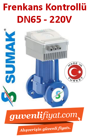 Sumak SSP 65-12 INV DN65 220V Flanşlı Frekans Kontrollü Sirkülasyon Pomapası