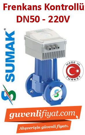 Sumak SSP 50-12 INV DN50 220V Flanşlı Frekans Kontrollü Sirkülasyon Pomapası