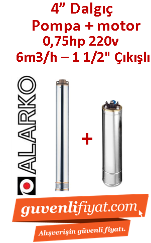 ALARKO 4SDM6/6 DMD 0.75Hp 220v 1 1/2'' Çıkışlı 4'' Derin Kuyu Sondaj Motor + Pompa