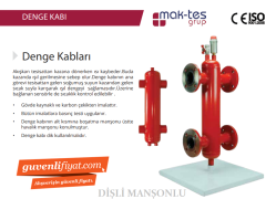 MT-DK02  Kcal/h 25.000 DN 1'' DİŞLİ MANŞONLU DENGE KABI