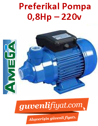 AMEGA TM 80 0.8hp 220v Preferikal Sürtme Fanlı Pompa