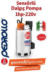 PEDROLLO RXM 4/40-GM 220V 1HP Gizli Flatörlü Açık Fanlı Paslanmaz Drenaj Dalgıç Pompa