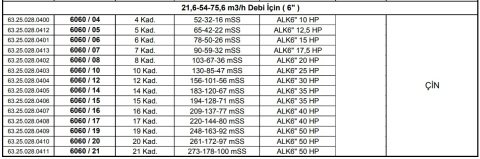 Alarko 6060/19   50Hp  6'' Paslanmaz Çelik Derin Kuyu Tek Dalgıç Pompa (Tek Pompa-Pompa Kademesi) ALK-KPS Serisi