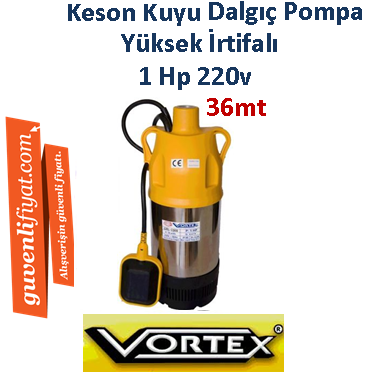 VORTEX GRL 1000 1 HP 220v PASLANMAZ GÖVDELİ KESON KUYU DALGIÇ POMPA