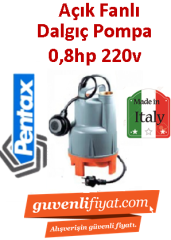 PENTAX DPV 80 G 0.8hp 220v Açık Fanlı Dalgıç Pompa