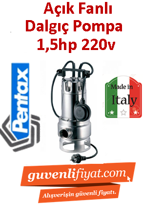 PENTAX DX 80/2 G 1.5hp 220v Komple PaslanmaZ Pis Su Dalgıç Pompa