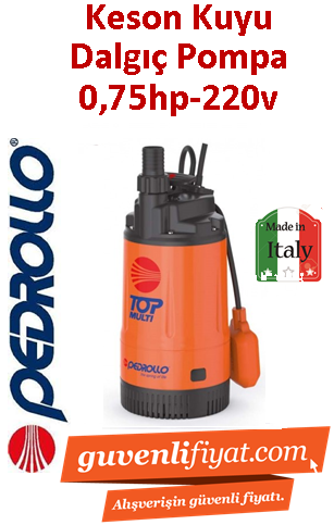 PEDROLLO TOP MULTI 2 220V 0.75HP Yüksek Basınçlı Keson Kuyu Dalgıç Pompa