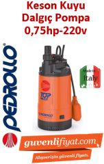 PEDROLLO TOP MULTI 2 220V 0.75HP Yüksek Basınçlı Keson Kuyu Dalgıç Pompa