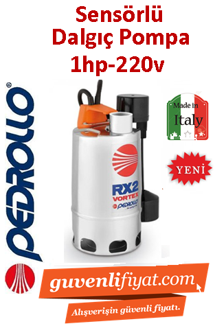 PEDROLLO RXM 3/20-GM 220V 0.75HP Gizli Flatörlü Açık Fanlı Paslanmaz Drenaj Dalgıç Pompa