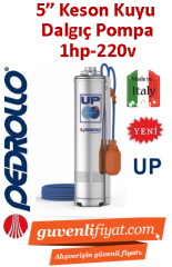 PEDROLLO UPm 2/4-GE 220V 1HP 5\'\' Keson Kuyu Dalgıç Pompa