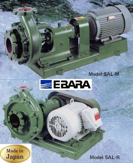 Ebara SALJR 537 125X100 Giriş Çıkışlı Aşındırıcı Çamur Pompası (Ağır Hizmet Tipi Endüstriyel Pompalar)