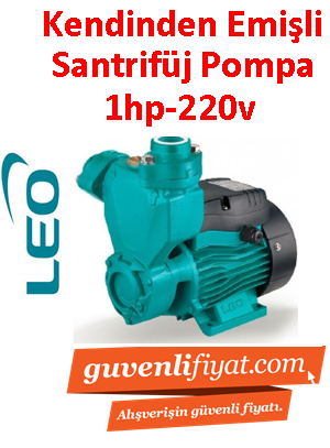 LEO APSm75 1HP 220v Kendinden Emişli Preferikal Pompa