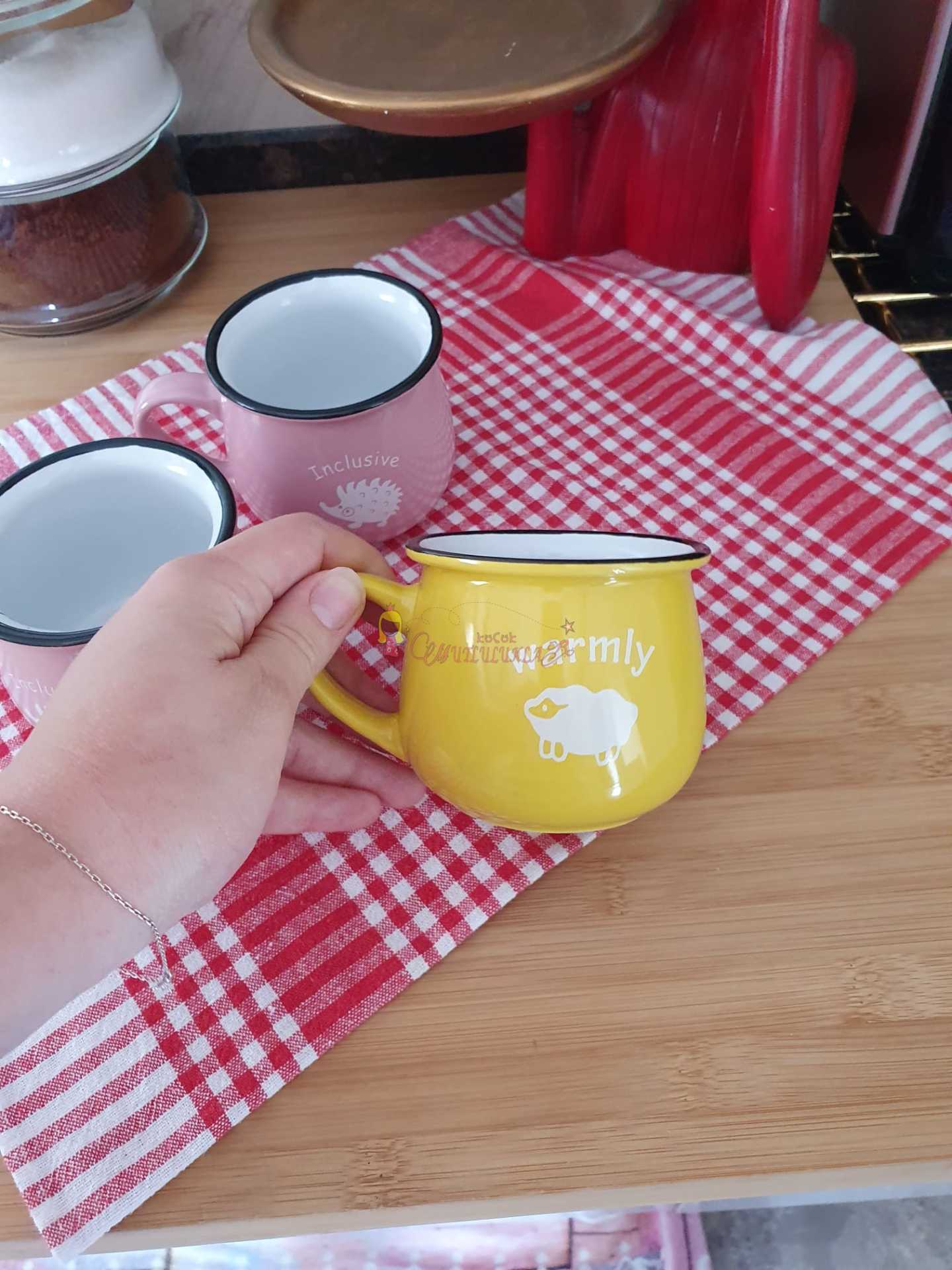 Renkli Porselen Kupa