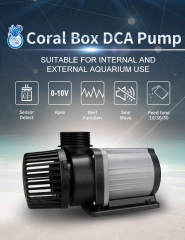 Coral Box - DCA 12000