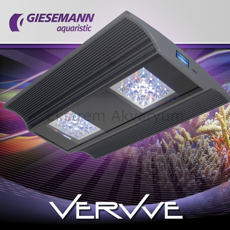 Giesemann - VerVve - Plus