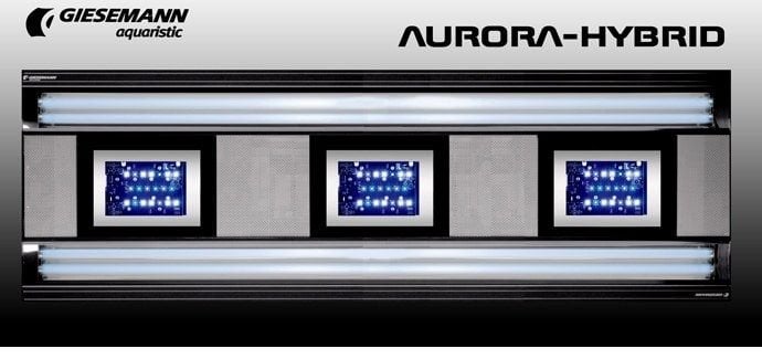Giesemann - AURORA - 3 x 75 W LED / 4 x 54 W T5