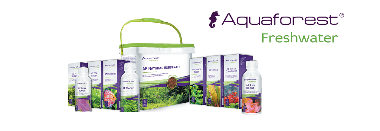 Aquaforest ürünleri