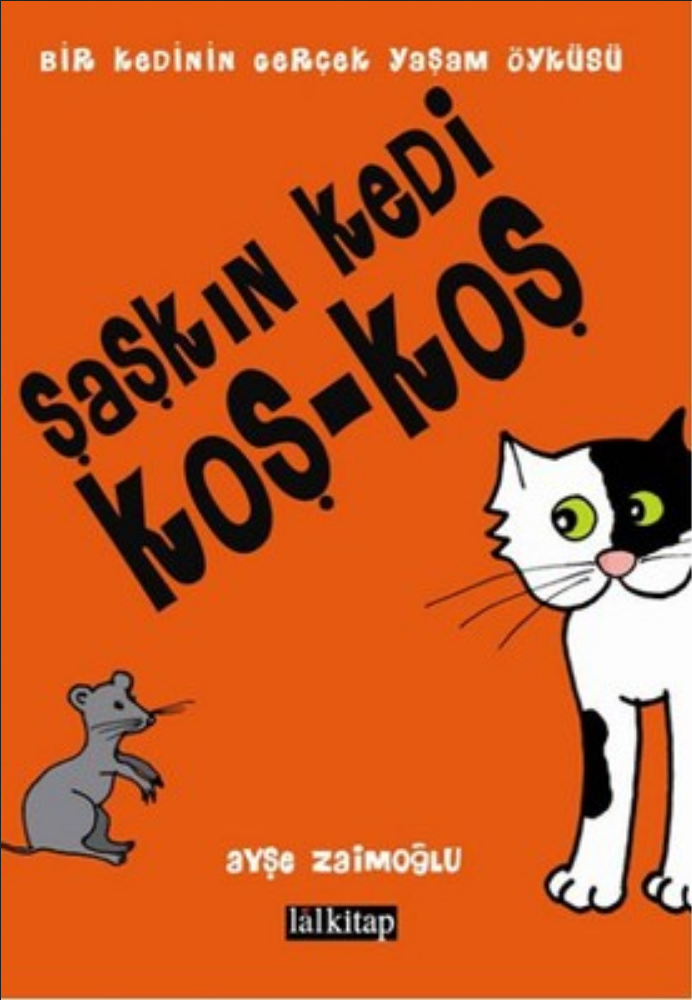 Şaşkın Kedi Koş-Koş /