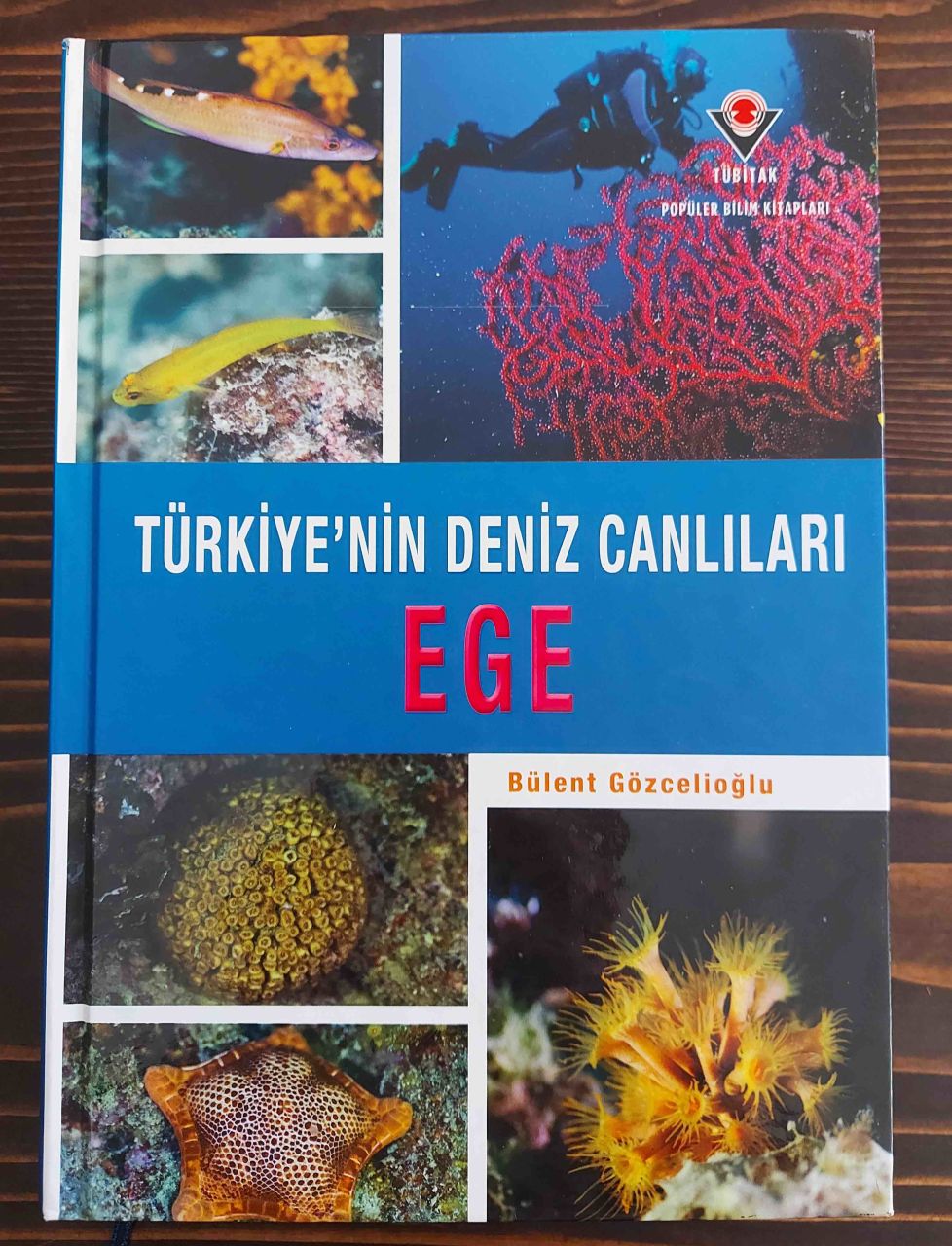 Türkiye'nin Deniz Canlıları Ege