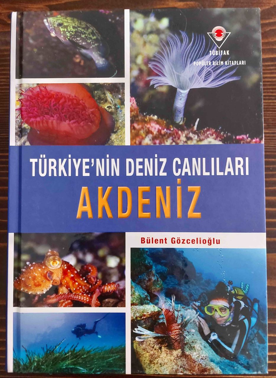 Türkiye'nin Deniz Canlıları Akdeniz