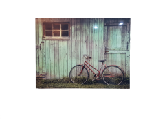 Misiny-Bisiklet Digital Baskı Kanvas Tablo 80 x 60 cm
