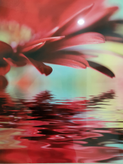 Misiny-Çiçek Digital Baskı Kanvas Tablo 004-50 x 60 cm