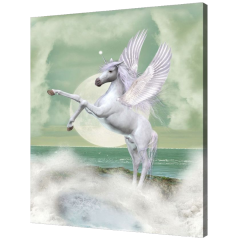 Misiny-Pegasus Digital Baskı Kanvas Tablo 60 x 80 cm