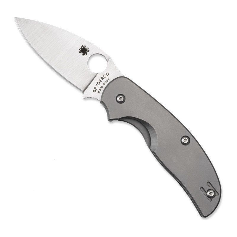 SPYDERCO C123TIP SAGE TITANIUM CAKI