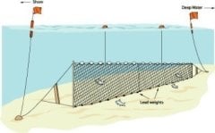 Fanyalı Profesyonel Turna Ağı 100 Metre 0,20 mm Misina