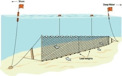 Fanyalı Profesyonel Sazan Ağı 50 Metre 0,23 mm Misina