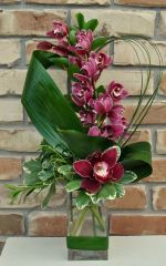 Cymbidium Orkide Aranjmanı