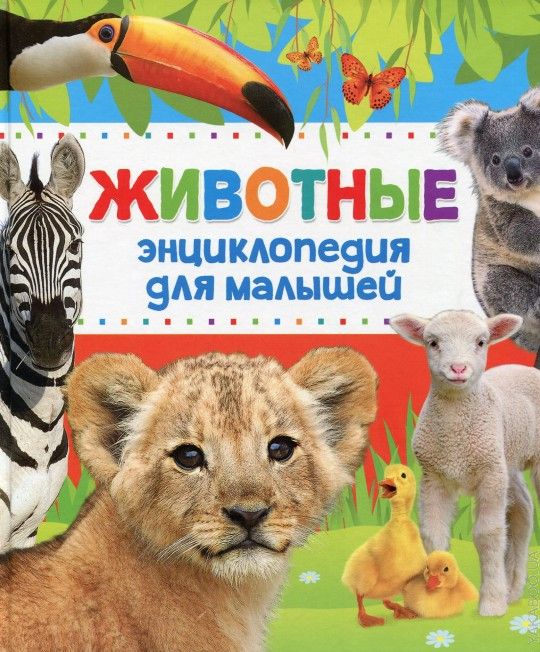 Энциклопедия животных для малышей _ Hayvanlar. Çocuklar İçin Ansiklopedi