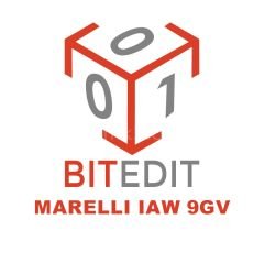 BITEDIT -  Marelli IAW 9GV
