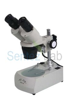 Stereo Mikroskop (10x-20x)