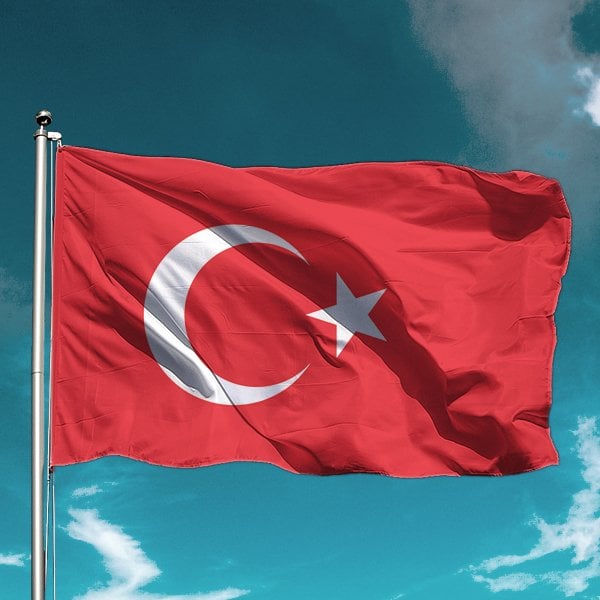 Türk bayrağı 30x45 cm Raşel Kumaş - Sopalı-5 adet