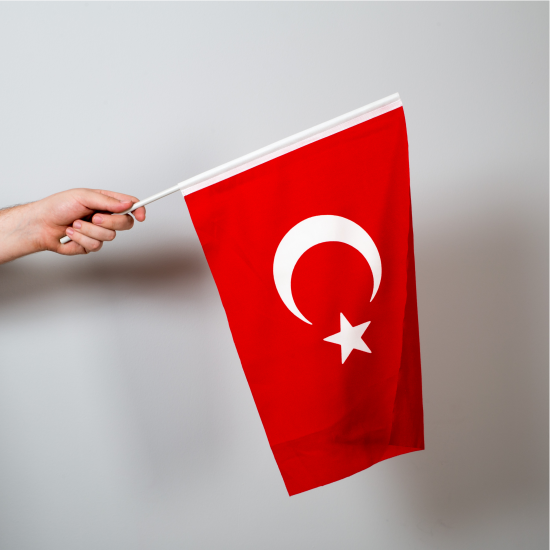 Türk bayrağı 30x45 cm Raşel Kumaş - Sopalı-10 adet
