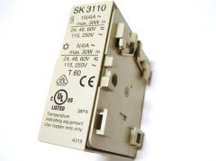 Rittal SK 3110000 Thermostat