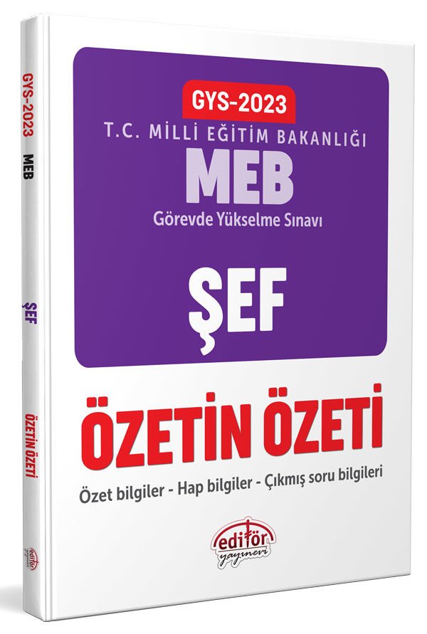 Milli Eğitim Bakanlığı Şef GYS Özetin Özeti