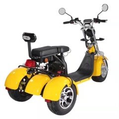 Citycoco Trike CP-3