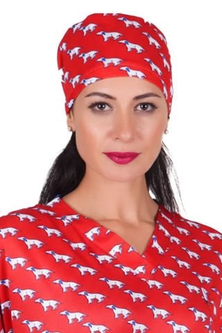 LABOR DRY TOUCH Cerrahi Bone - No:12 Kırmızı Köpek Desenli