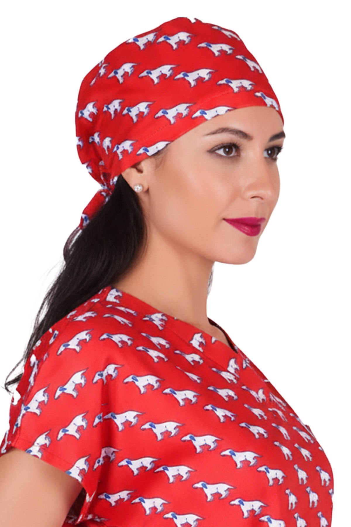 LABOR DRY TOUCH Cerrahi Bone - No:12 Kırmızı Köpek Desenli