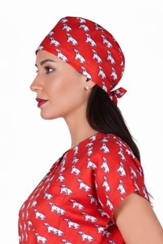 LABOR DRY TOUCH Cerrahi Bone - No:12 Kırmızı Köpek Desenli