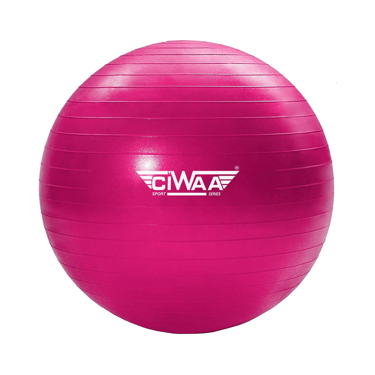 Ciwaa Cwa-2045 Pilates Topu 65 Cm Pembe Pompa Hediyeli