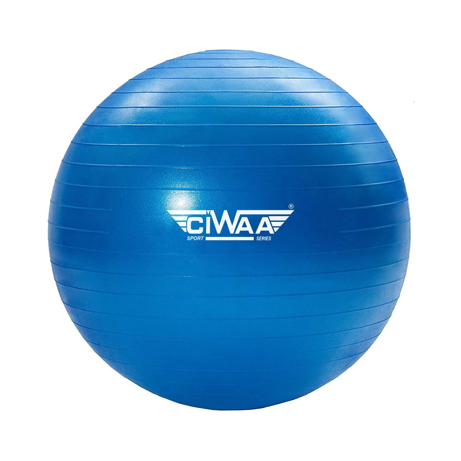 Ciwaa Cwa-2044 Pilates Topu 65 Cm Mavi Pompa Hediyeli